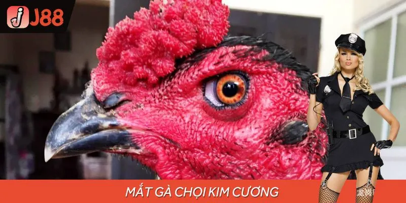Sơ lược về mắt gà chọi kim cương
