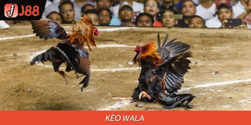 Khám phá kèo Wala