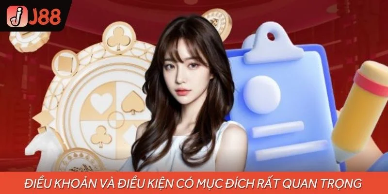 Điều khoản và điều kiện có mục đích rất quan trọng