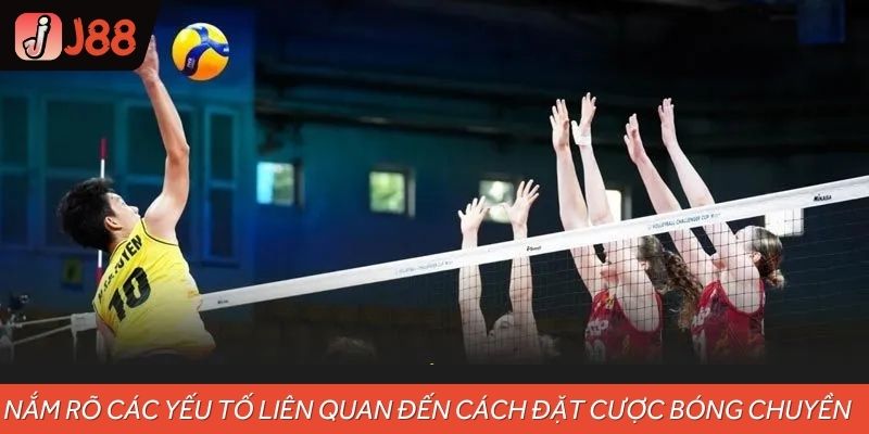 Nắm rõ các yếu tố liên quan đến cách đặt cược bóng chuyền 