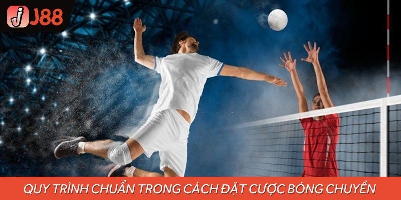 Quy trình chuẩn trong cách đặt cược bóng chuyền cho mọi người