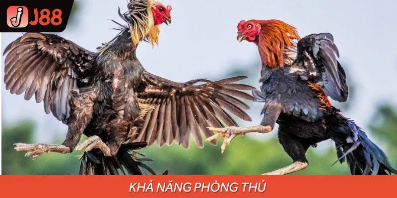 Phòng thủ xuất sắc