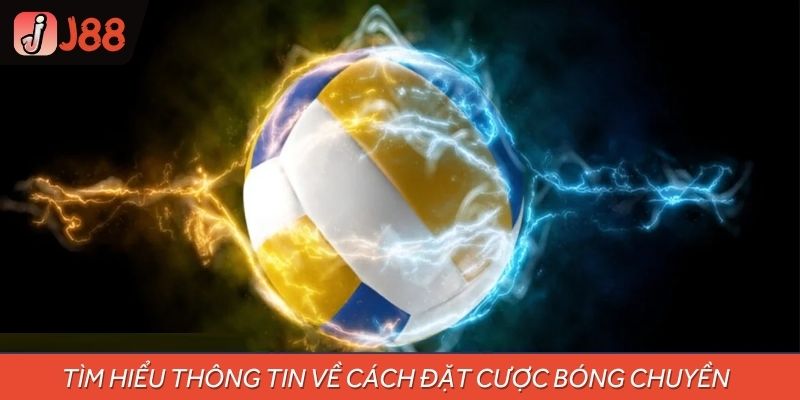 Tìm hiểu thông tin về cách đặt cược bóng chuyền 