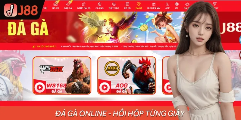 Đến với J88, bạn có thể thử sức với các cửa cược đá gà đa dạng