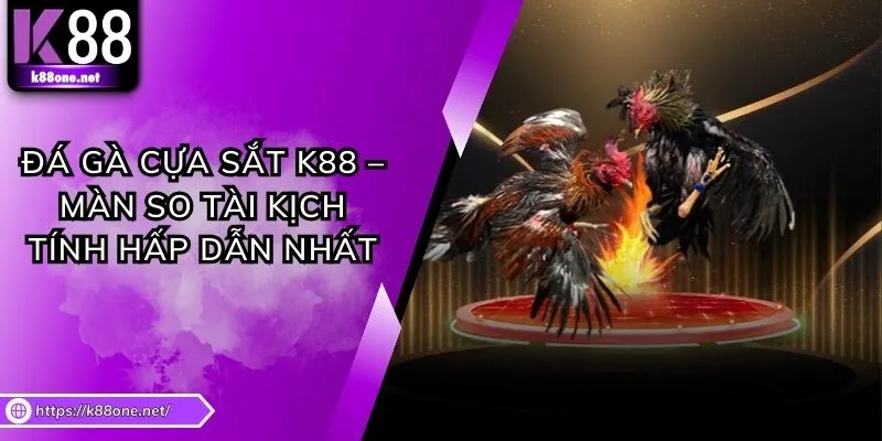 Đá Gà Cựa Sắt K88 – Màn So Tài Kịch Tính Hấp Dẫn Nhất