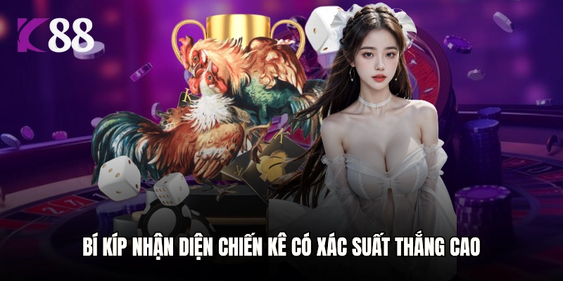 Bí kíp nhận diện chiến kê có xác suất thắng cao
