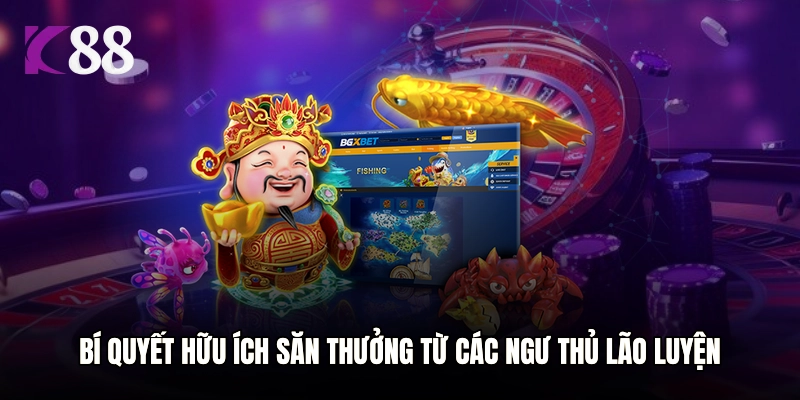 Bí quyết hữu ích săn thưởng từ các ngư thủ lão luyện