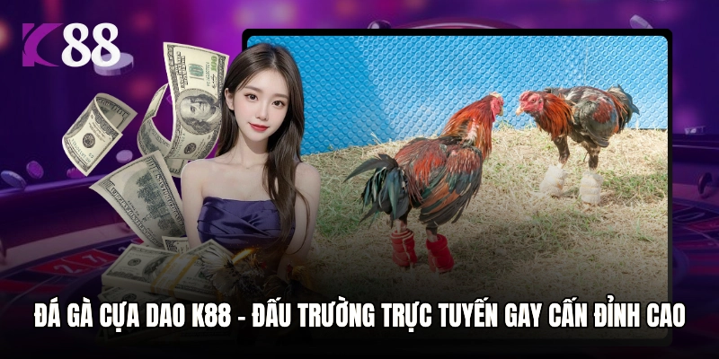 Đá Gà Cựa Dao K88 – Đấu Trường Trực Tuyến Gay Cấn Đỉnh Cao