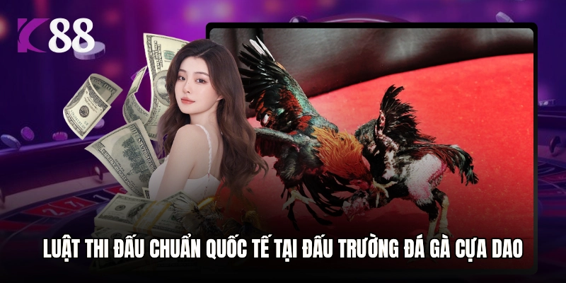 Luật thi đấu chuẩn quốc tế tại đấu trường đá gà cựa dao